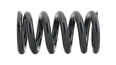 Frame Shock Tuning Springs