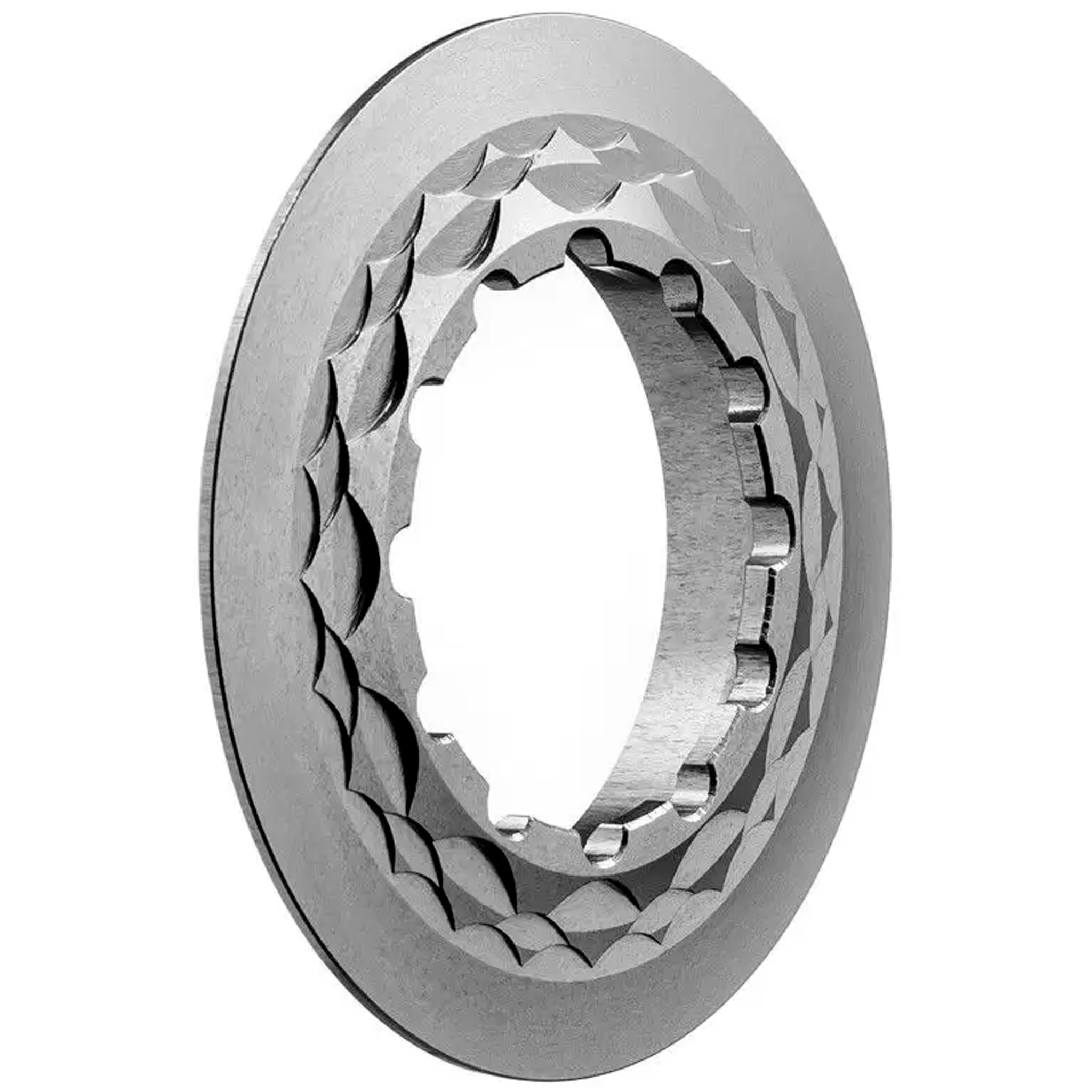 Absolute Black Center Lock Rotor Lockring, Titanium