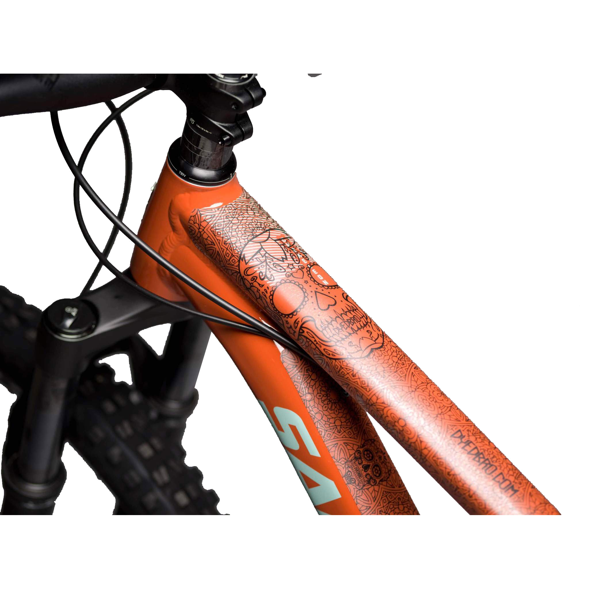 DYEDBRO Frame Protection, Día de Muertos Black 