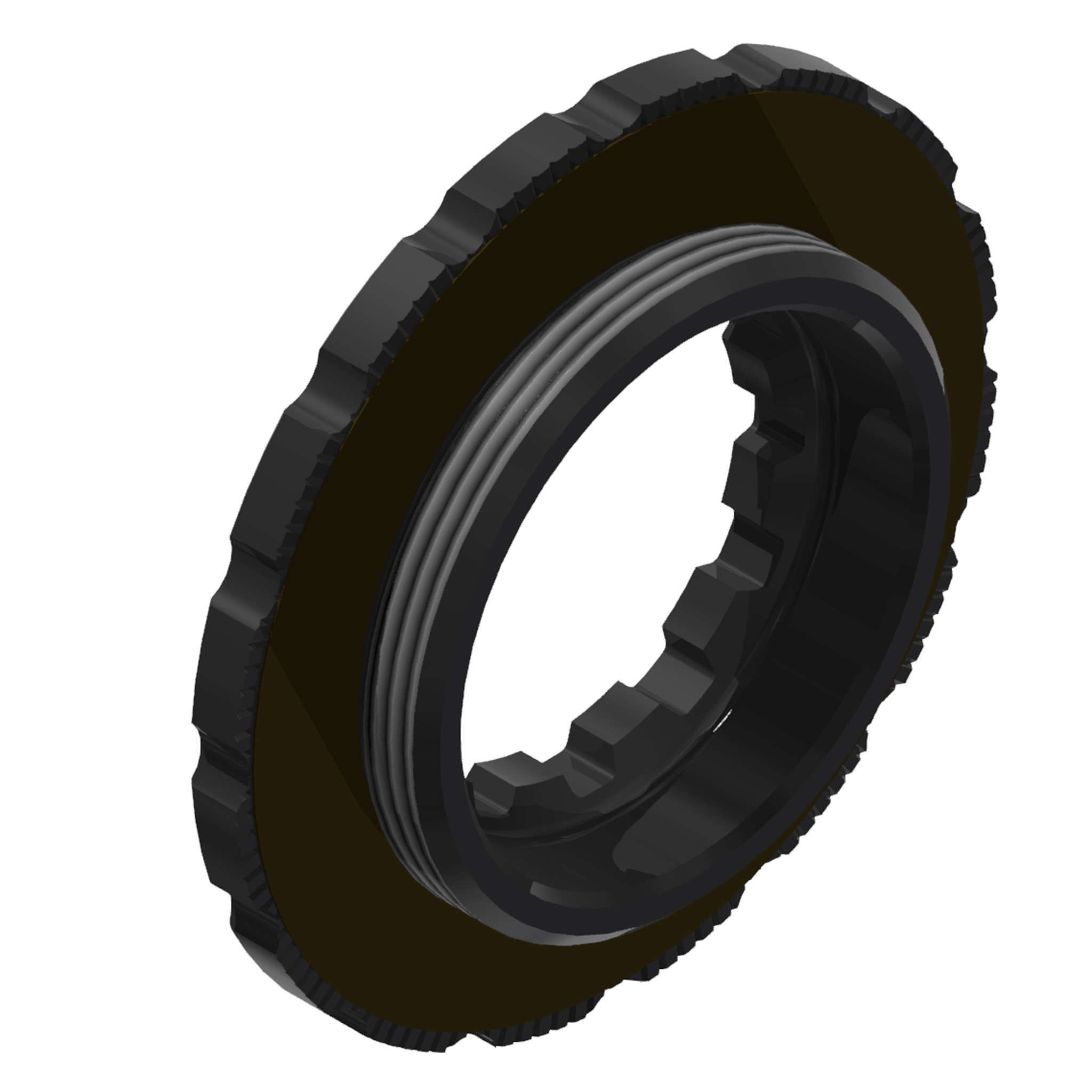 DT Swiss CenterLock Lockring, Black, Each