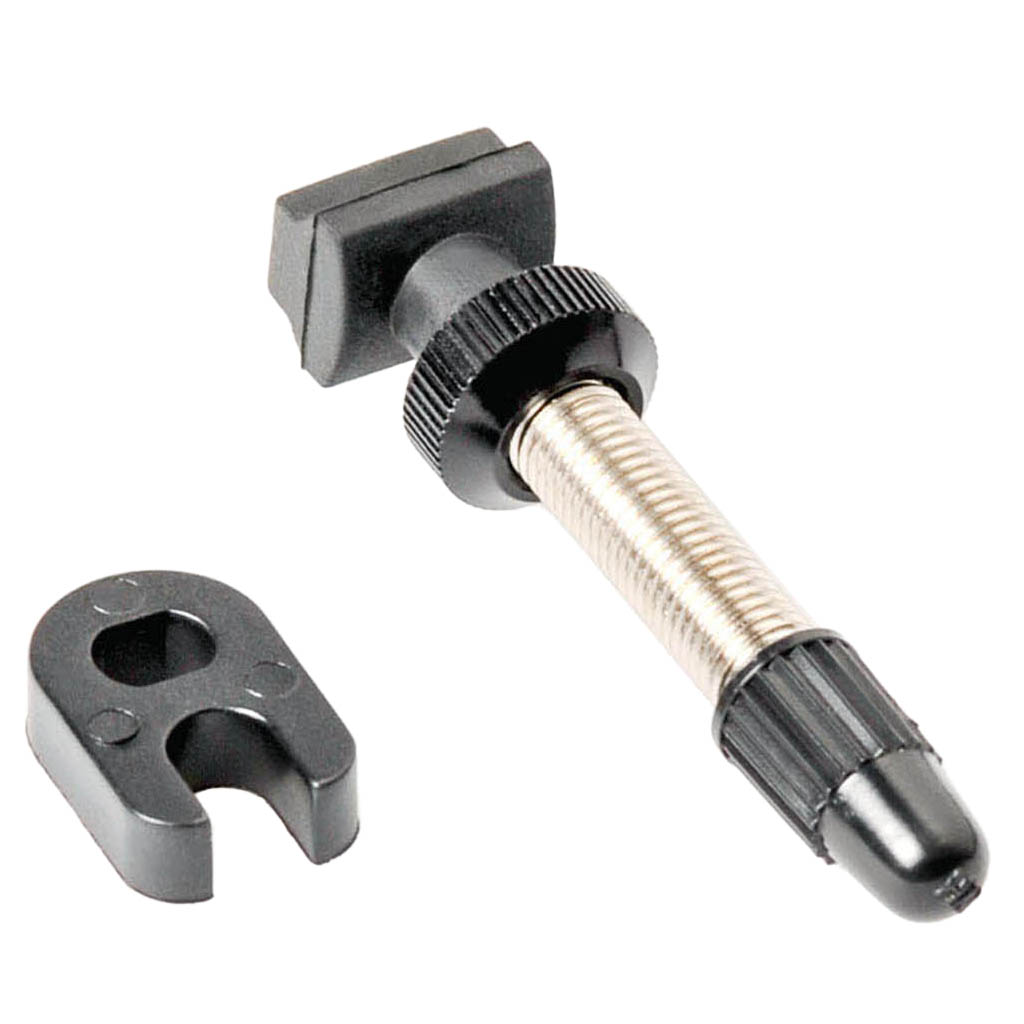 DT Swiss Brass Tubeless Valve, 73mm, Each