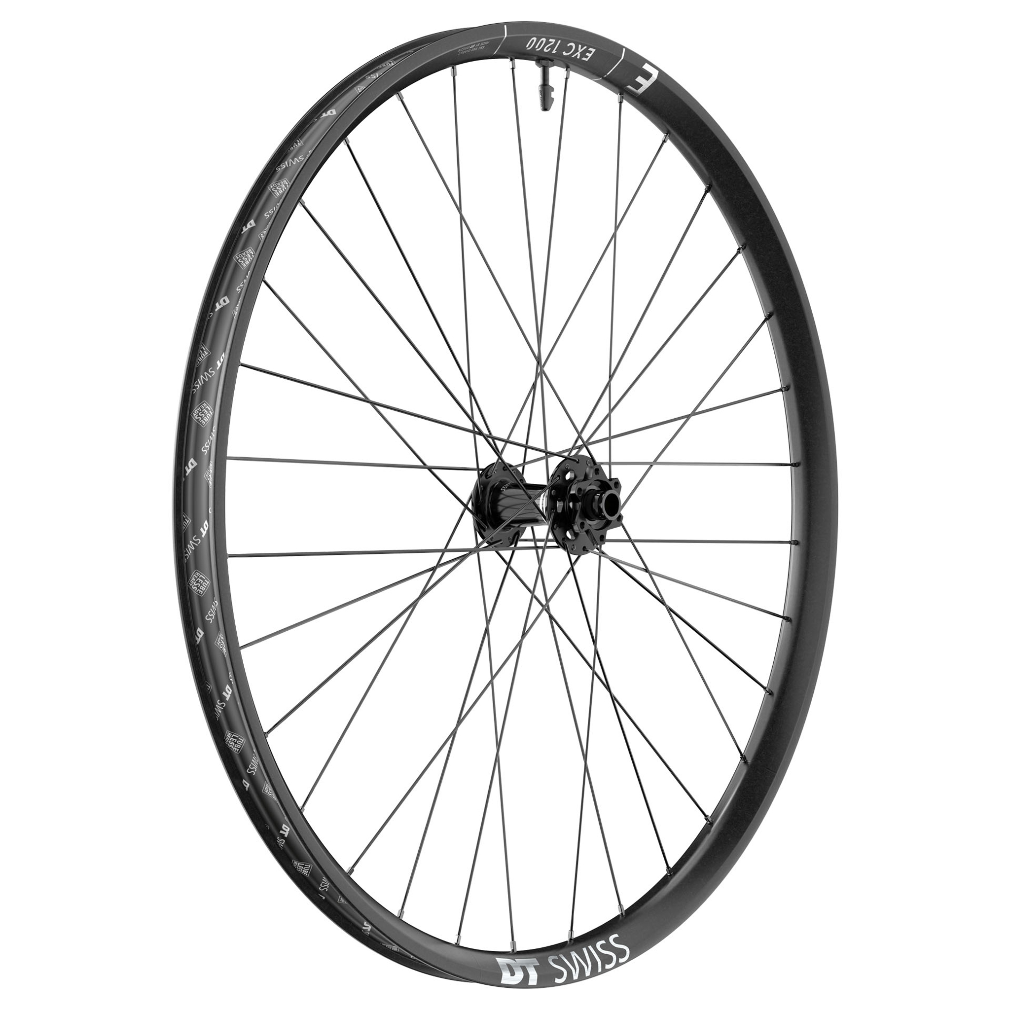 DT Swiss EXC 1200 Spline 30 Front Wheel, 29", 15x110 