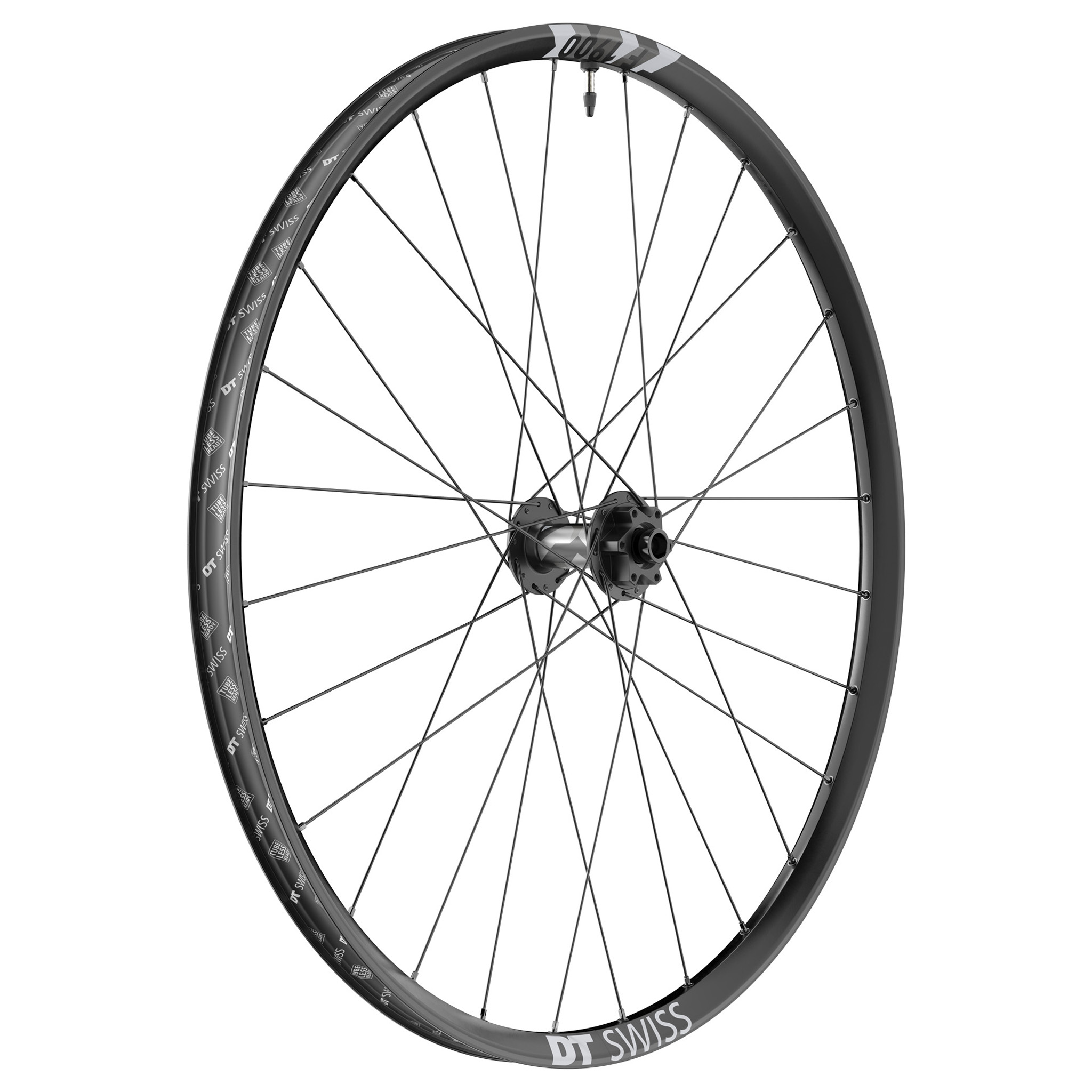 DT Swiss F 1900 Classic Front Wheel, 29", 15x110