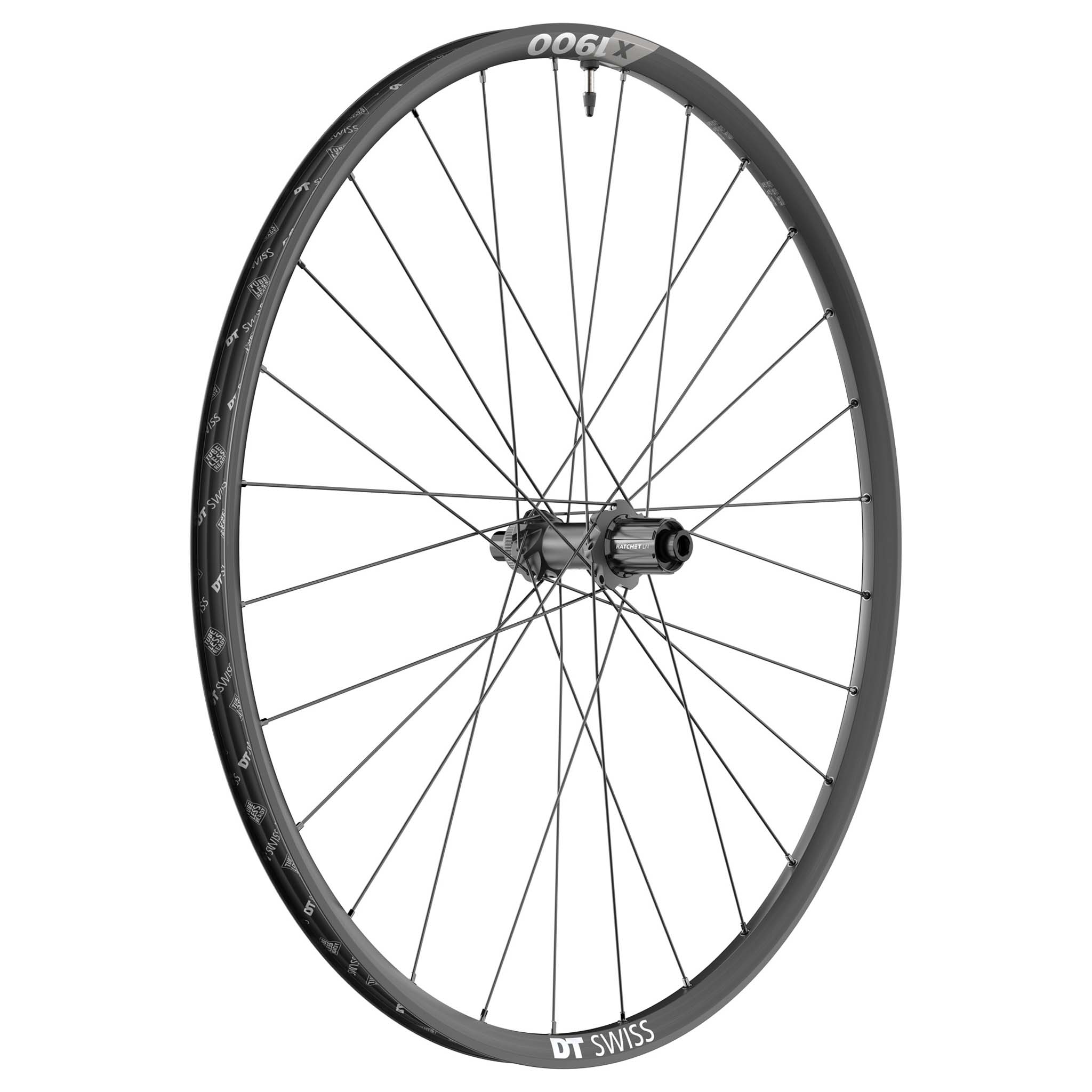 DT Swiss X 1900 Spline Rear Wheel, 29", 12x148, HG