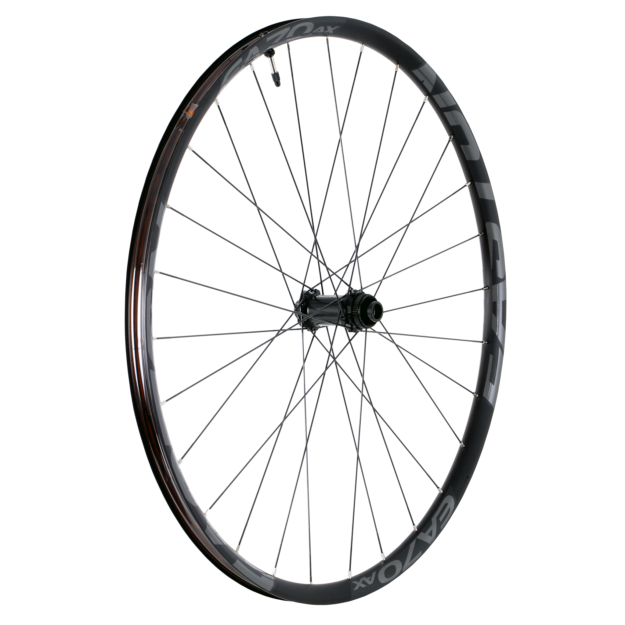 Easton EA70 AX Disc 650b F Wheel, 9x100 QR+15x100 TA