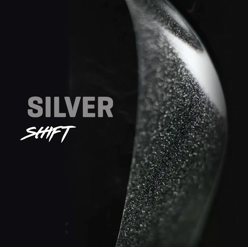 Ground Keeper Fork Keeper, Silver Shift, Gloss 