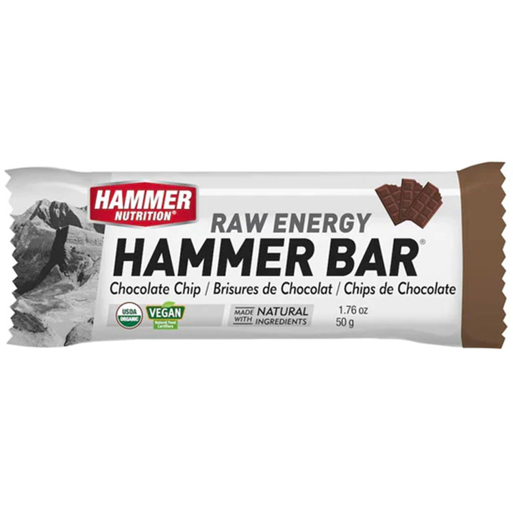 Hammer Nutrition Hammer Bar, Chocolate-Chip, 12/Count 