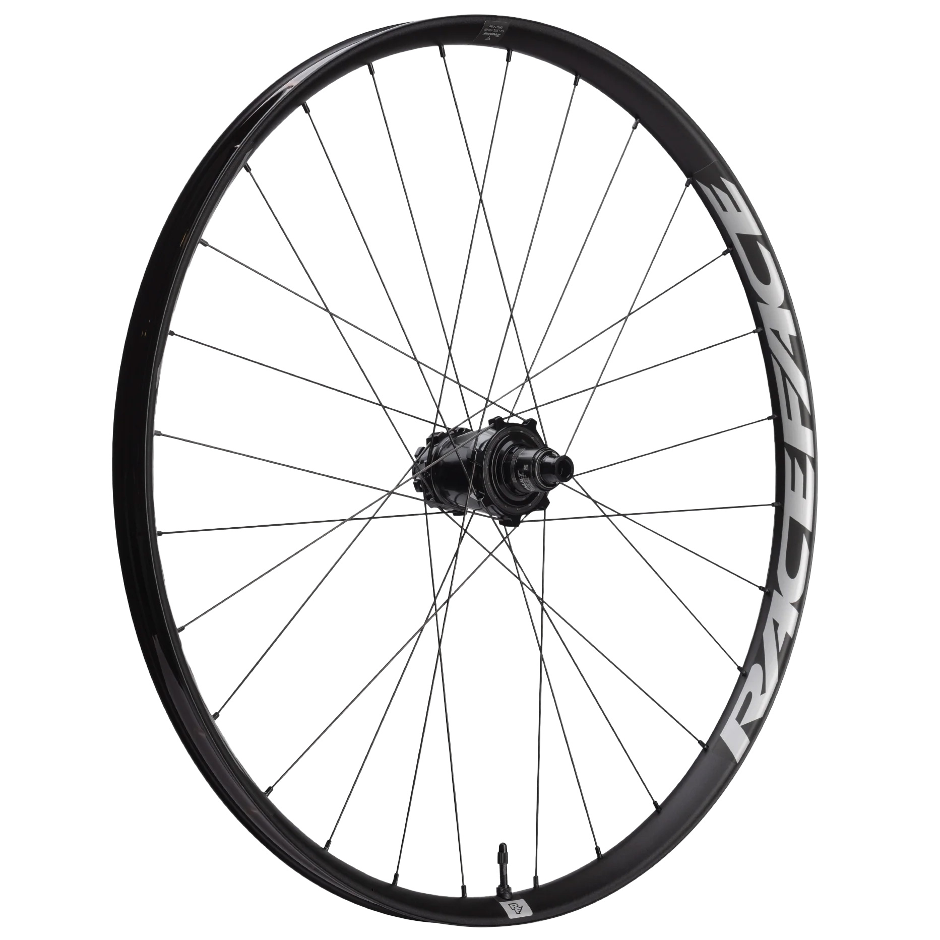 Race Face Turbine-SL 29" Front Wheel, 15x110 Boost, Black