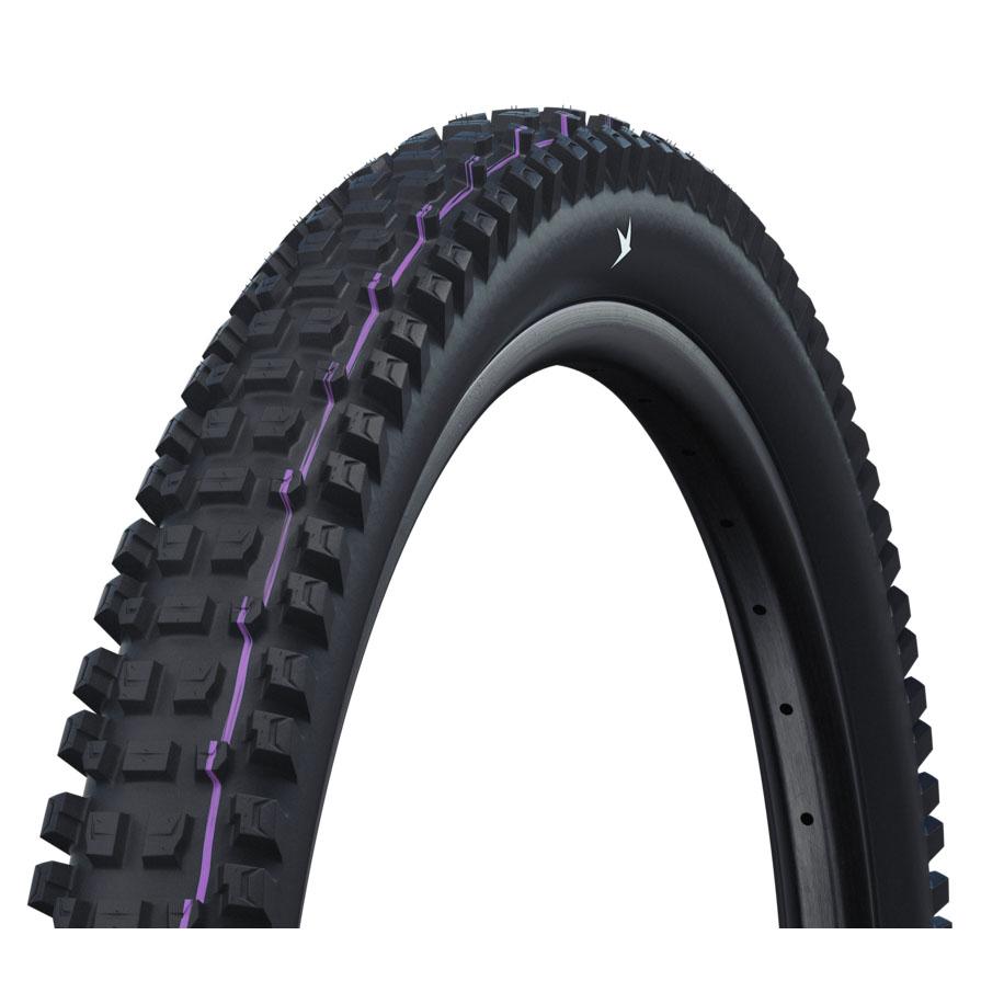 Schwalbe Albert Gravity Pro E50 Tire, 29x2.6", Addix Ultra Soft