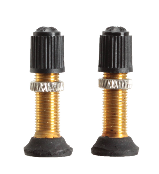 Stan's Schrader Valve Stem and Core, 32mm Universal Pair