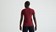 Specialized Women's Wordmark Short Sleeve T-Shirt Garnet Red - XXL