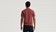 Specialized Men's Wordmark Short Sleeve T-Shirt Spice - S