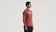 Specialized Men's Wordmark Short Sleeve T-Shirt Spice - S