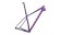 2025 Specialized Chisel Hardtail Frameset Gloss Purple Tint Linear Brushed / Rebel Pink - S
