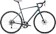 2025 Specialized Allez Sport Satin Tropical Teal / Teal Tint / Arctic Blue - 54