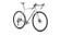 2025 Specialized Crux DSW Comp Gloss Birch / Clay - 58
