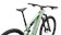 2026 Specialized Turbo Levo R Expert Satin Pistachio / Dark Moss Green - S5