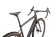 2022 Specialized Diverge Expert Carbon Satin Orange Tint / Spectraflair - 58