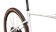 2027 Specialized Diverge 4 Pro Dune White / Burnt Gold - 61