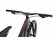 2023 Specialized Stumpjumper EVO Comp Satin Doppio / Sand - S4