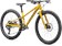 2025 Specialized Riprock 24 Gloss Slphr Oakgrn - 24