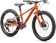 2025 Specialized Riprock 20 Gloss Ambrglw Redwd - 20