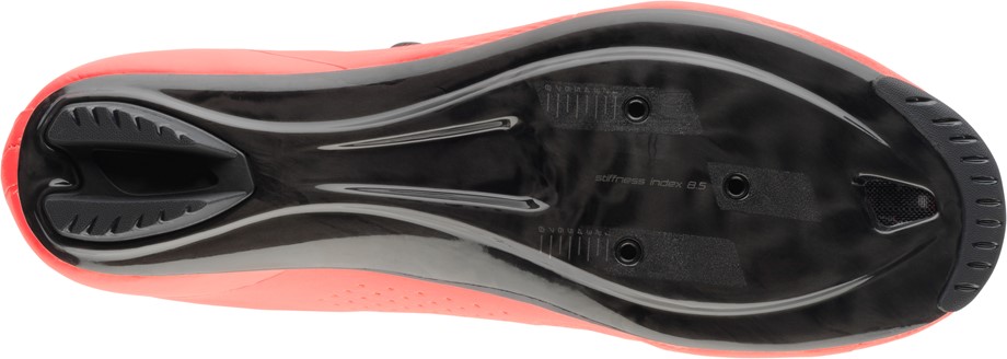specialized torch 3.0 2019