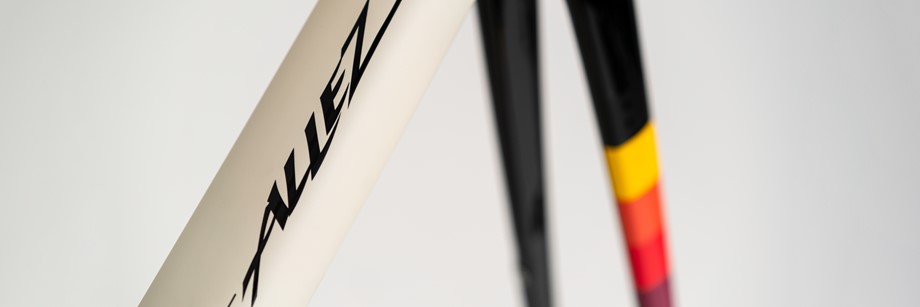 specialized allez frameset for sale