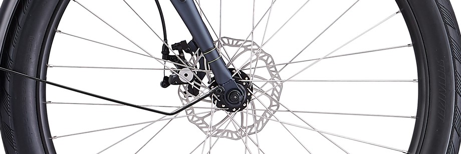 specialized roll sport low entry 2019