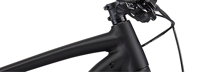 specialized rockhopper 29 pro 2019