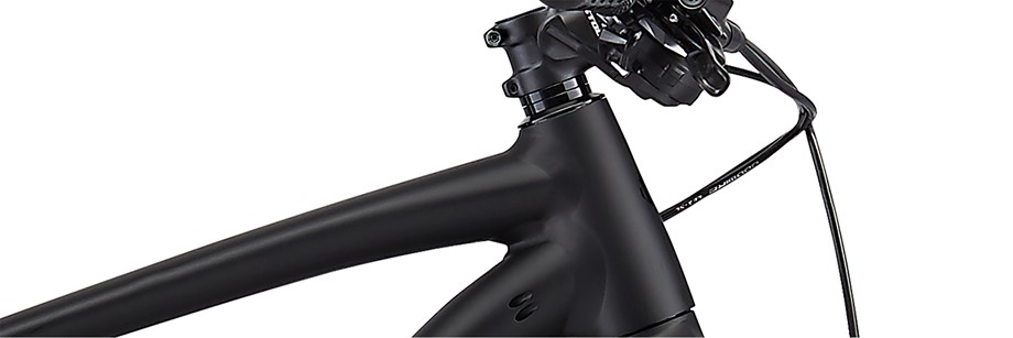 2019 specialized rockhopper pro