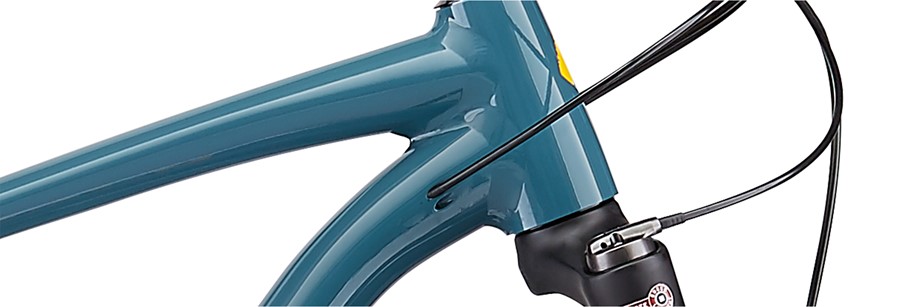 specialized rockhopper 2019 expert