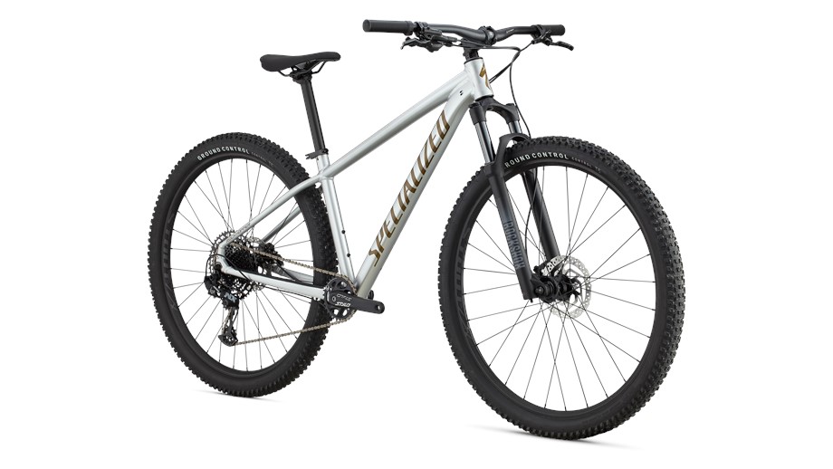 2025 Specialized Rockhopper Expert Gloss Silver Dust / Satin Burnt Gold Metallic - L