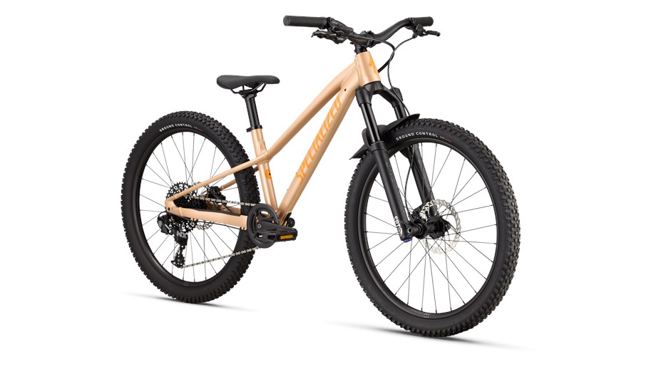 2026 Specialized Riprock Comp 24 Ptnorgtnt / Flksil / Orgzst - 24