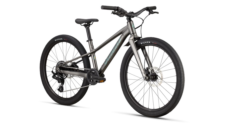 2026 Specialized Riprock 24 Smoke / Fjord Metallic - 24