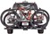 Saris Edge Hitch Rack 2-Bike