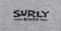 Surly The Ultimate Frisbee Women's T-Shirt - Gray, Medium 