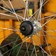 Pedro's Freewheel Socket, Single Speed 4-Notch x 40mm







