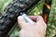 Stan's Dart Tool - Tubeless Tire Plug Kit 