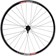 Sta-Tru Double Wall Rear Wheel - 700c, QR, 10 x 130mm, HG 10 MTN, Black, 19i