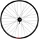 Sta-Tru Double Wall Front Wheel - 29", QR, 9 x 100mm, Disc Brake, Black, 25i