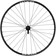 Quality Wheels Bear Pawls / WTB ST i30 Front Wheel - 29", 15 x 100, Center-Lock, Black