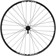 Quality Wheels Bear Pawls / WTB ST i30 Front Wheel - 29", 15 x 100, Center-Lock, Black