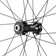 Campagnolo Levante Front Wheel - 700, 12 x 100mm, CenterLock, Black