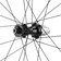 Campagnolo Levante Rear Wheel - 700, 12 x 142mm, CenterLock, N3W, Black






