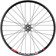 Quality Wheels Bear Pawls / DT Swiss E593 Front Wheel - 26", 15 x 100mm, 6-Bolt, Black, 32H