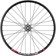 Quality Wheels Bear Pawls / DT Swiss E593 Front Wheel - 26", 15 x 100mm, 6-Bolt, Black, 32H