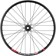 Quality Wheels Bear Pawls / DT Swiss E593 Front Wheel - 26", 20 x 110mm, 6-Bolt, Black, 32H