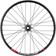 Quality Wheels Bear Pawls / DT Swiss E593 Front Wheel - 26", 20 x 110mm, 6-Bolt, Black, 32H