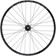 Quality Wheels Bear Pawls / RaceFace AR Rear Wheel - 29", 12 x 157mm, 6-Bolt, XD, Black, 32H